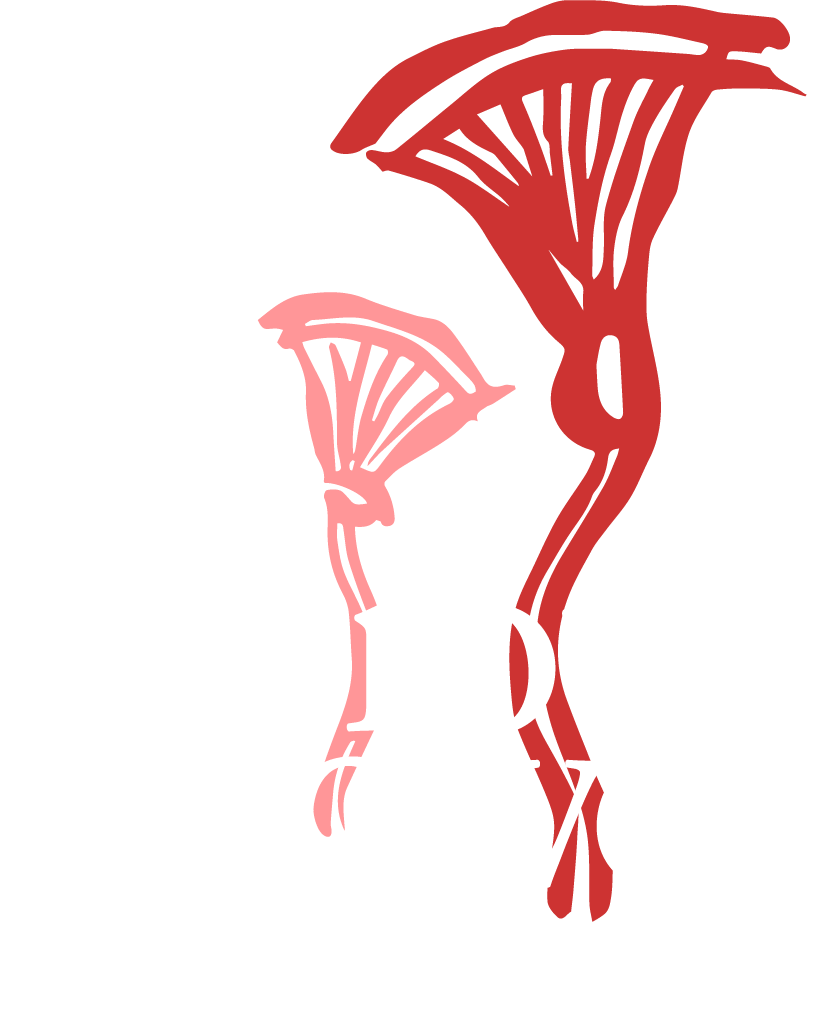 Furious Flower Poetry Center Logo